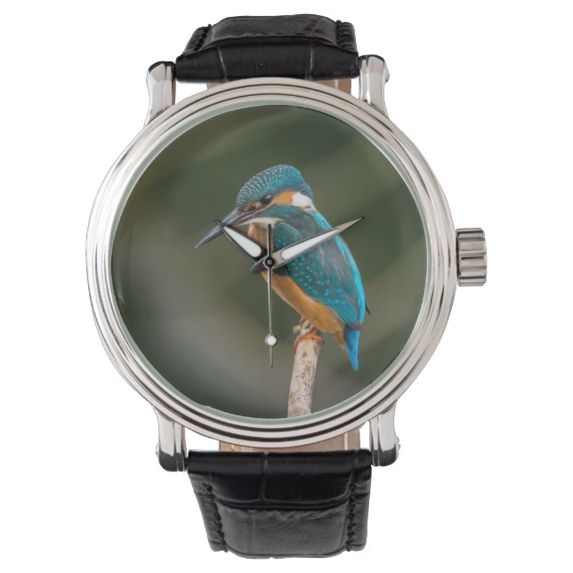 KIngfisher Armbanduhr (Vorderseite)