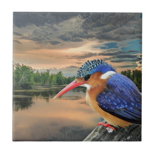 Kingfisher bei Sunset Fliese