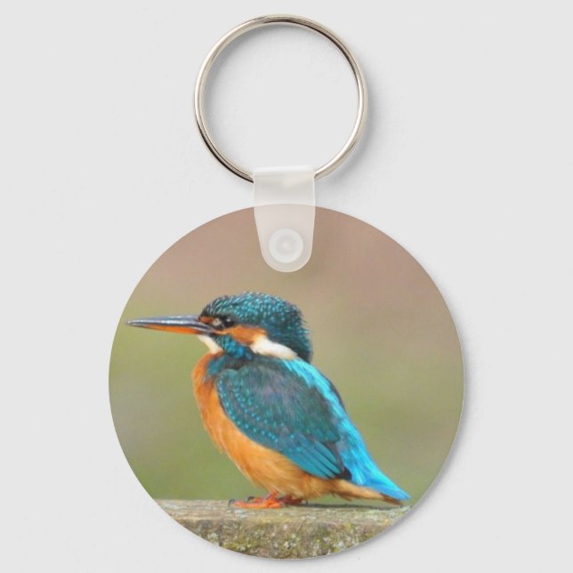 Kingfisher Bird Schlüsselanhänger (Vorderseite)