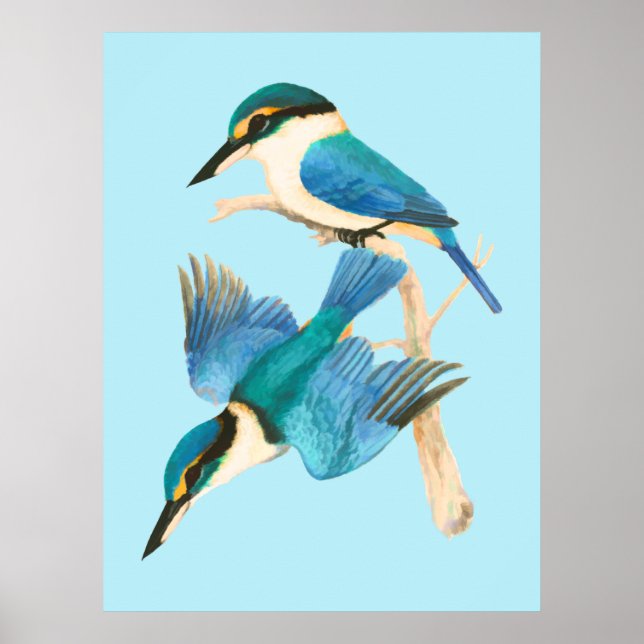 Kingfisher Birds Blue Watercolor Poster (Vorne)