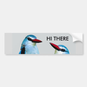 Kingfisher Birds Südafrika Autoaufkleber