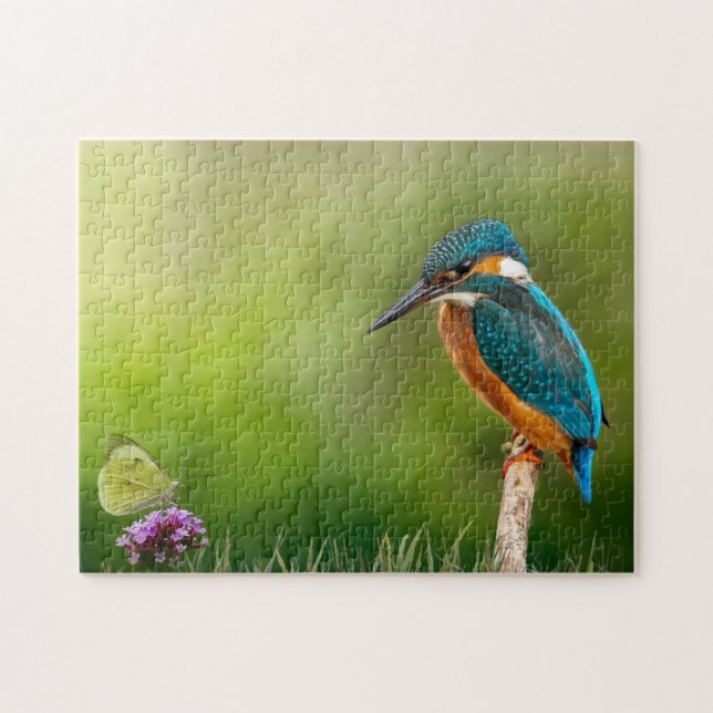 Kingfisher Butterfly Nature Blume Bird Perched (Horizontal)