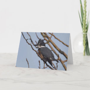 Kingfisher - Carte Art Cadre
