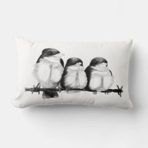 Kingfisher Chicks