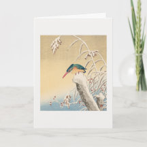 Kingfisher im Schnee