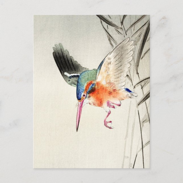 Kingfisher Jagd (vergrößert) - Ohara Koson - Postkarte (Vorderseite)