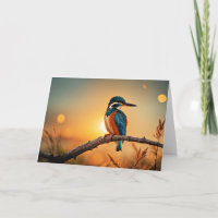 Kingfisher