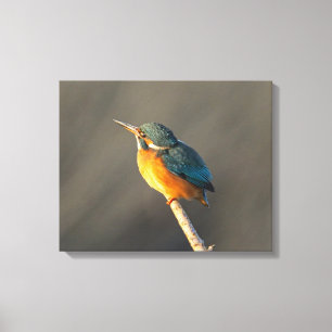 Kingfisher Leinwanddruck