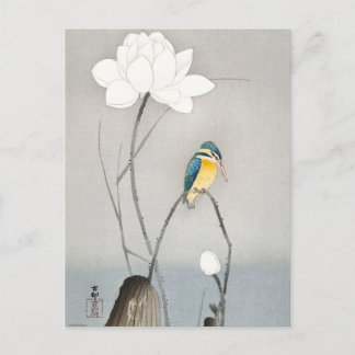 Kingfisher mit Lotus-Blume von Ohara Koson Postkarte