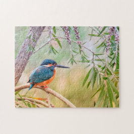 Kingfisher Natural Bird Wildlife Animal Trees