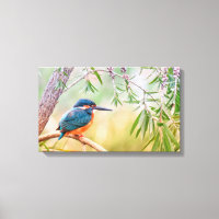 Kingfisher Perched auf Branch