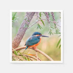 Kingfisher Perched auf Branch Serviette