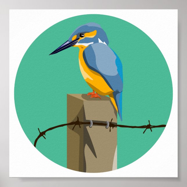Kingfisher Poster (Vorne)