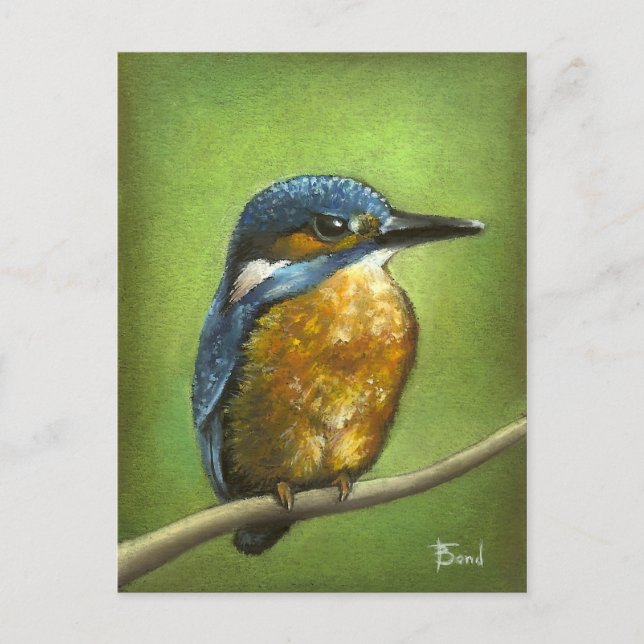 Kingfisher Postkarte (Vorderseite)