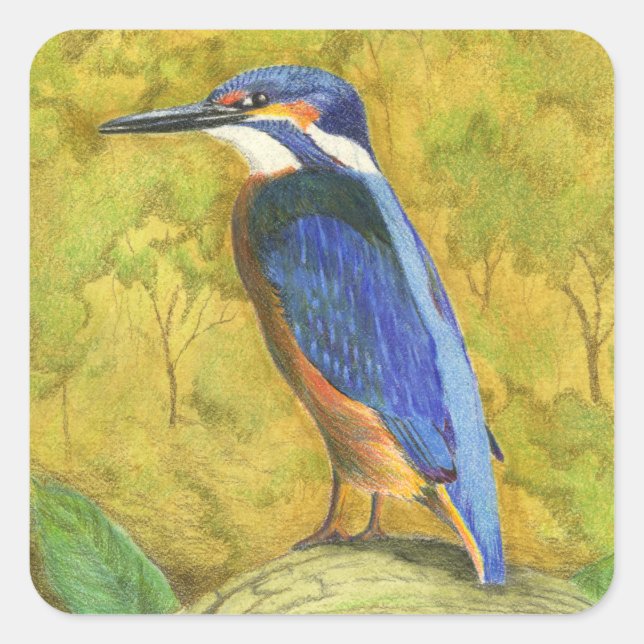 Kingfisher Quadratischer Aufkleber (Vorderseite)