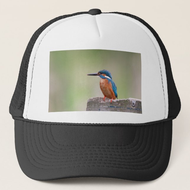 Kingfisher-Vogel. Truckerkappe (Vorderseite)