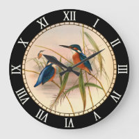 Kingfisher, Vögel, Vintag, John Gould, Natur