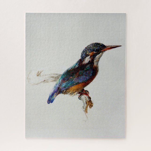 Kingfisher (von John Ruskin) (Vertikal)