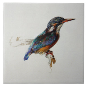 Kingfisher (von John Ruskin) Fliese