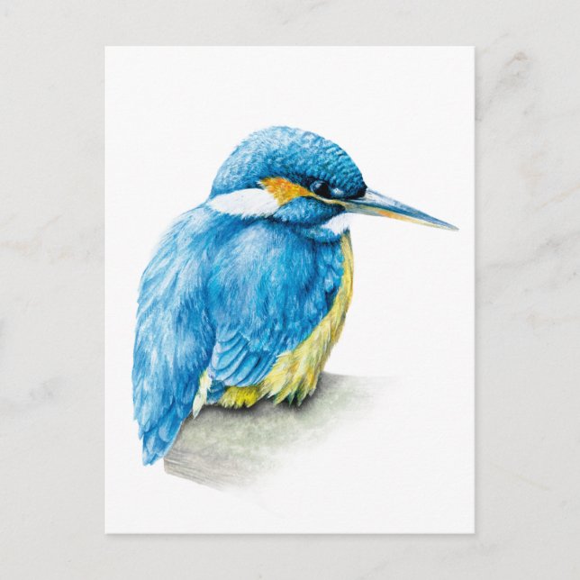 Kingfisher Wasserfarbenpostkarte Postkarte (Vorderseite)