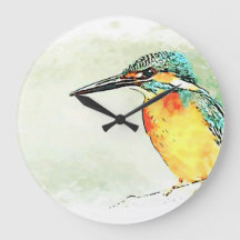 Kingfisher Watching