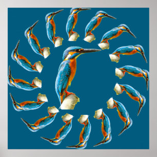 Kingfisker Circle Poster