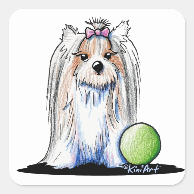 KiniArt Biewer Yorkie Terrier Quadratischer Aufkleber (Vorderseite)