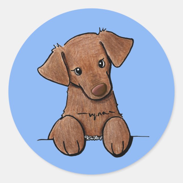 KiniArt Chocolate Labrador Runder Aufkleber (Vorderseite)