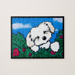 KiniArt Havanese