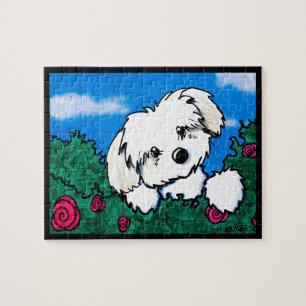 KiniArt Havanese