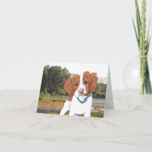 KiniArt Orange Bretagne Card Karte
