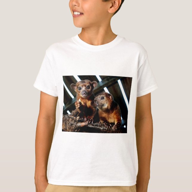 Kinkajous T-Shirt (Vorderseite)