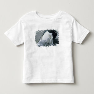 Kinnbandpinguine, Pygoscelis antarctica), Kleinkind T-shirt