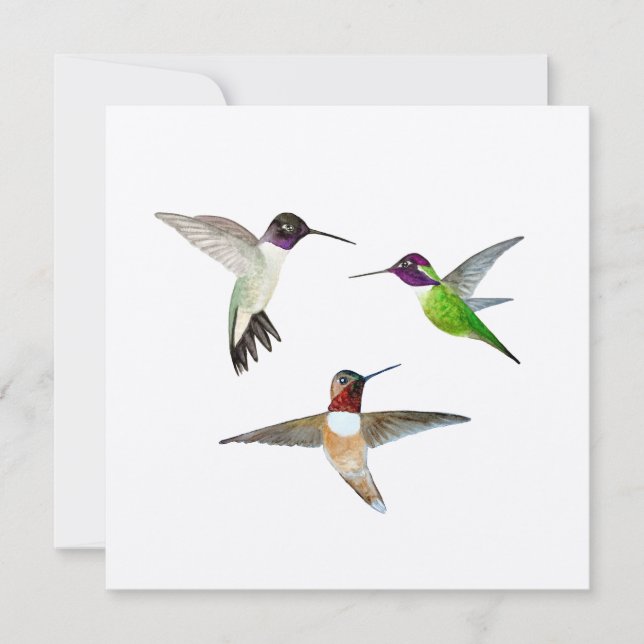 Kinnige, Rufous und Anna's Hummingbirds Dankeskarte (Vorderseite)