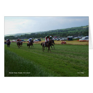 Kinsale Races-Karte