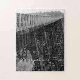 Kinzua Bridge Skywalk Picturesque Familienspass