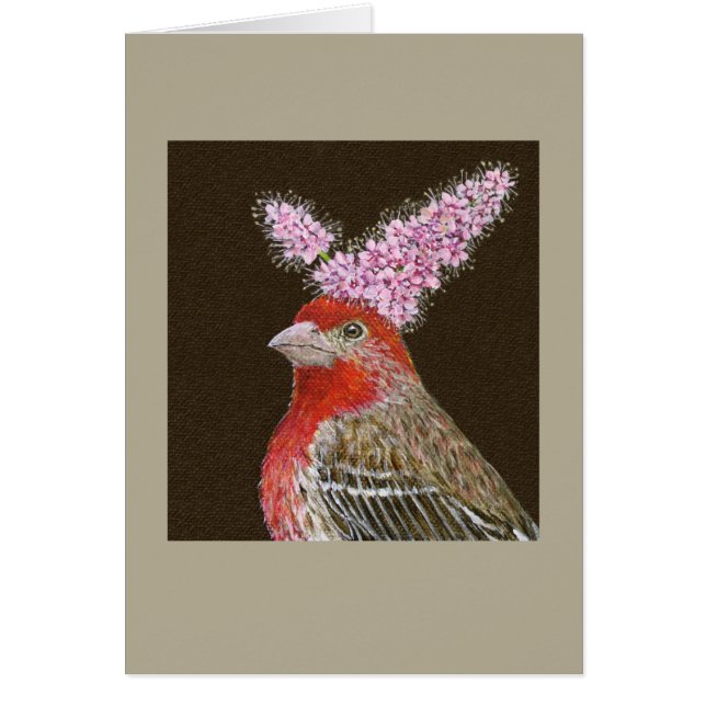 Kip die Hausfinkkarte (Vorne)