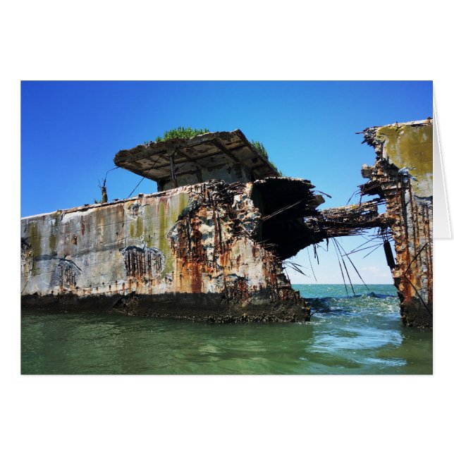 Kiptopeke Strandbetonschiffe (Vorderseite (Horizontal))