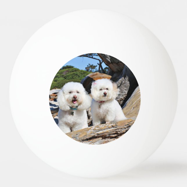 Kirby Shelby - Pudel auf Carmel Strand Tischtennisball (Vorderseite)