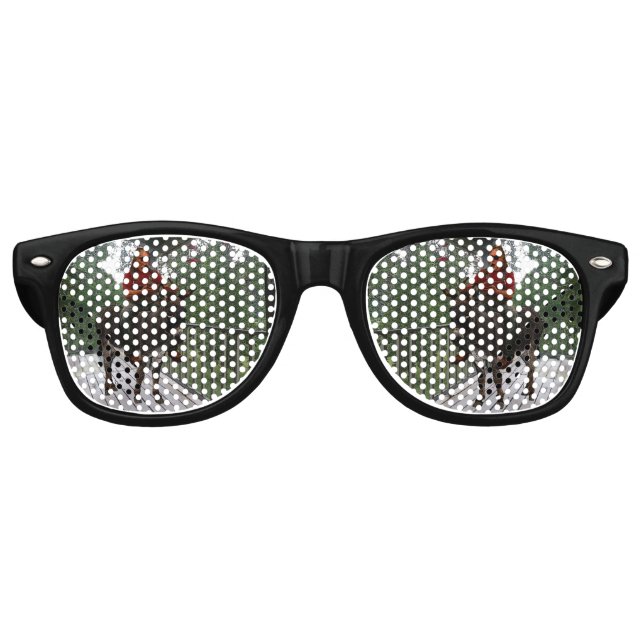 Kirby Vision Partybrille (Vorderseite)