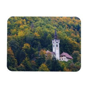 Kirche in einem Fallwald in Slowenien Magnet