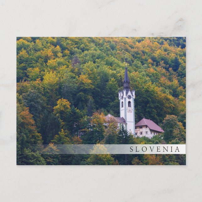 Kirche in einem Regenwald in Slowenien Postkarte (Vorderseite)
