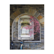 Kirschbaum durch die Bögen