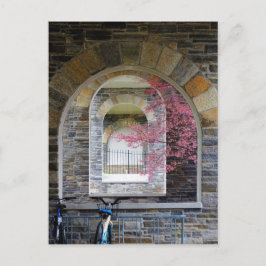 Kirschbaum durch die Bögen Postkarte