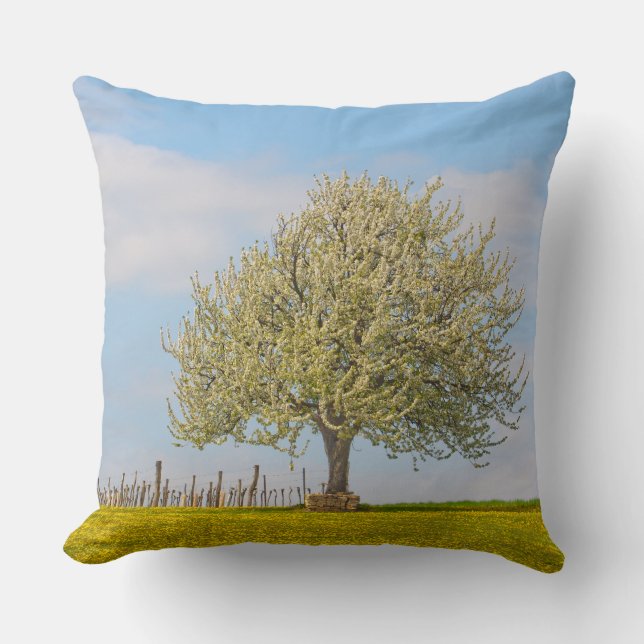 Kirschbaum im Frühling Kissen (Vorderseite)