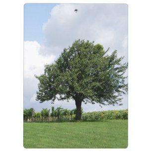 Kirschbaum im Sommer Klemmbrett