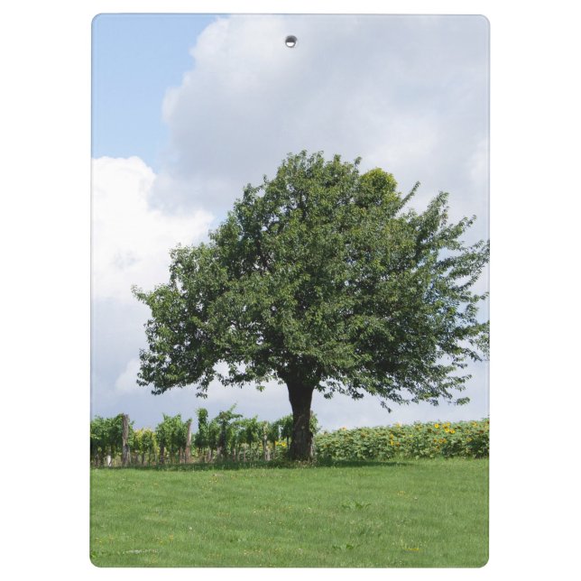 Kirschbaum im Sommer Klemmbrett (Rückseite)