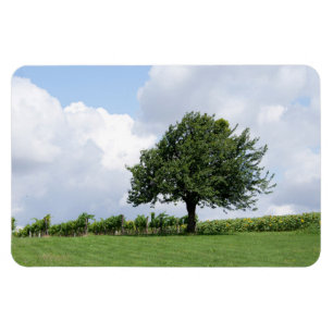 Kirschbaum im Sommer Magnet