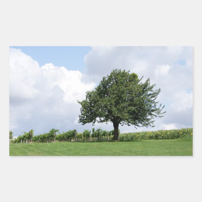 Kirschbaum im Sommer Rechteckiger Aufkleber (Vorderseite)