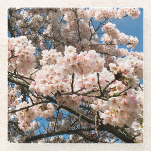 Kirschbaum in Bloom, Oregon Glasuntersetzer